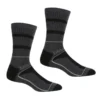 Regatta Calcetines Samaris 3 Season Para Hombre Pack De 2 Negro, Acero Oscuro