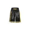 Pantalones Cortos De Boxeo EVERLAST Comp Boxe Short